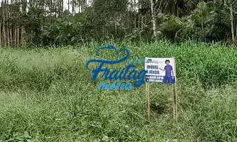 Imagem 5: Terreno em Schroeder no Bairro Centro Norte