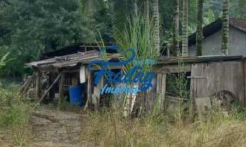 Imagem 5: Terreno em Schroeder - Bairro Rio Hern