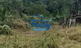 Imagem 2: Terreno em Schroeder - Bairro Rio Hern