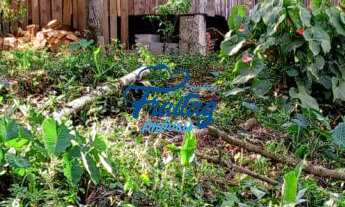 Imagem 5: Chácara a venda em Schroeder no Bairro Braço do Sul