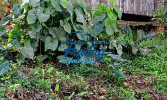 Imagem 6: Chácara a venda em Schroeder no Bairro Braço do Sul