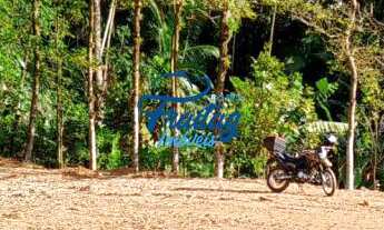 Imagem: Chácara em Schroeder no Bairro Duas Mamas