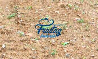 Imagem 4: Terreno em Jaraguá do Sul no Bairro Czerniewicz