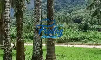 Imagem 2: Chácara com Casa 03 Quartos sendo 01Suíte em Schroeder no Bairro Bracinho