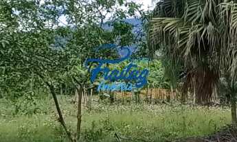 Imagem: Terreno no bairro Bracinho em Schroeder