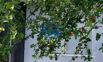 Imagem: Casa 02 Quartos sendo 01 Suíte no Centro