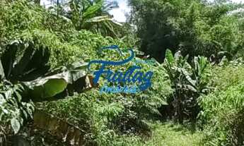 Imagem 5: Chacará a venda no Bairro Grota Funda em Jaraguá do Sul