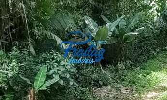 Imagem 7: Chacará a venda no Bairro Grota Funda em Jaraguá do Sul