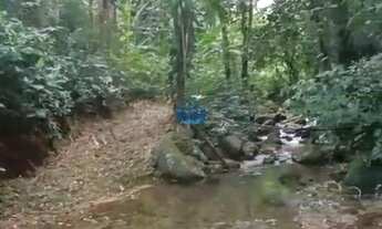 Imagem 4: Terreno Rural com 41.000m² em Schroeder - Duas Mamas