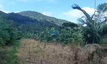 Imagem 5: Terreno Rural com 41.000m² em Schroeder - Duas Mamas