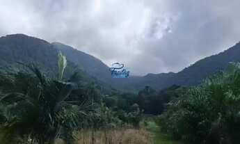 Imagem 6: Terreno Rural com 41.000m² em Schroeder - Duas Mamas