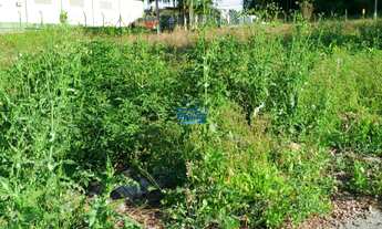 Imagem 7: Terreno em Schroeder no Bairro Centro Norte