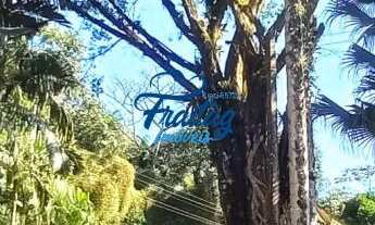 Imagem 7: Chacara em Schroeder - Bairro Bracinho