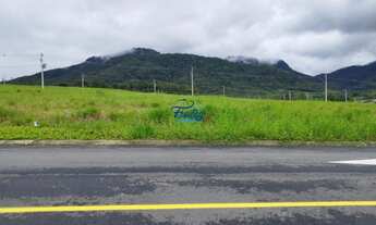 Imagem 4: Terreno a venda em Schroeder - Bairro Centro
