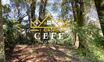 Imagem 3: LINDA ÁREA DE TERRAS COM VISTA PANORÂMICA EM MORRO REUTER / RS - MATO COMPRIDO