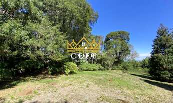 Imagem 5: LINDA ÁREA DE TERRAS COM VISTA PANORÂMICA EM MORRO REUTER / RS - MATO COMPRIDO