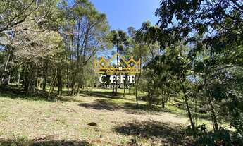 Imagem 6: LINDA ÁREA DE TERRAS COM VISTA PANORÂMICA EM MORRO REUTER / RS - MATO COMPRIDO