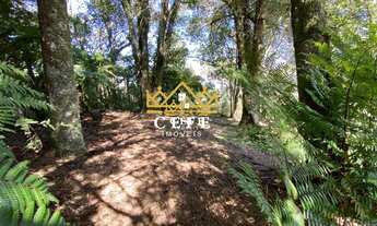 Imagem 7: LINDA ÁREA DE TERRAS COM VISTA PANORÂMICA EM MORRO REUTER / RS - MATO COMPRIDO