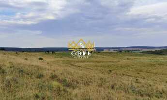 Imagem: Fazenda 102 hectares em Tapes/RS