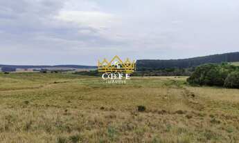 Imagem 4: Fazenda 102 hectares em Tapes/RS