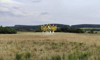 Imagem 5: Fazenda 102 hectares em Tapes/RS