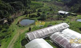 Imagem: Sítio de 6 hectares em Padre Eterno Ilges