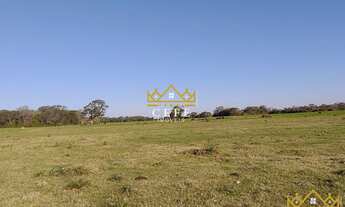 Imagem: Fazenda 410 hectares em Cristal/RS