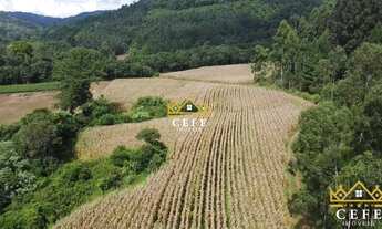 Imagem: Área de 15.9 hectares em Santa Maria do