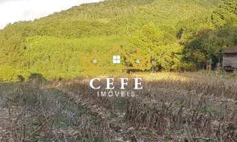 Imagem 3: Área de 15.9 hectares em Santa Maria do Herval - RS - Serra Gaúcha