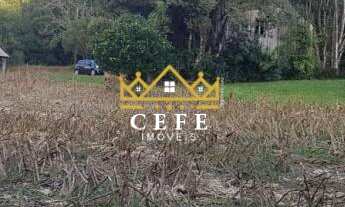 Imagem 4: Área de 15.9 hectares em Santa Maria do Herval - RS - Serra Gaúcha