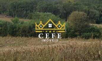 Imagem 5: Área de 15.9 hectares em Santa Maria do Herval - RS - Serra Gaúcha