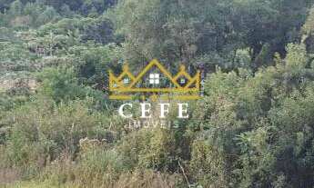 Imagem 6: Área de 15.9 hectares em Santa Maria do Herval - RS - Serra Gaúcha