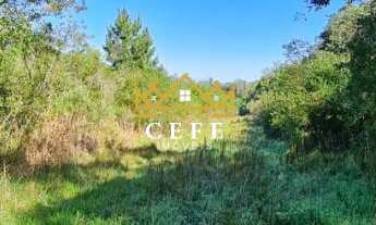 Imagem 3: 30 hectares á venda na Linha Bonita Gramado / RS