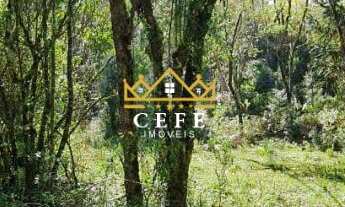 Imagem 6: 30 hectares á venda na Linha Bonita Gramado / RS