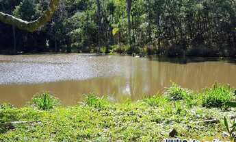 Imagem: Linda area de 4.6 hectares em Pinhal Alto