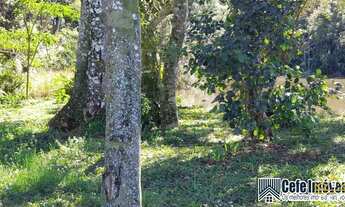 Imagem 3: Linda area de 4.6 hectares em Pinhal Alto - Nova Petrópolis / RS