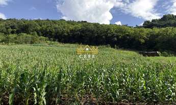 Imagem 2: Área de terra de 2 hectares - Ideal para fazer seu sítio de lazer