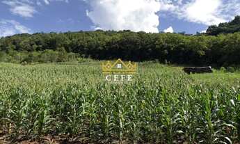 Imagem 5: Área de terra de 2 hectares - Ideal para fazer seu sítio de lazer