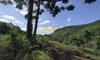 Imagem 7: Área de terra de 2 hectares - Ideal para fazer seu sítio de lazer