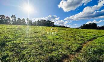 Imagem: Área de 16,6 hectares - Ideal para sítio