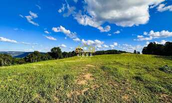 Imagem 2: Área de 16,6 hectares - Ideal para sítio