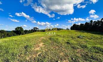 Imagem 4: Área de 16,6 hectares - Ideal para sítio