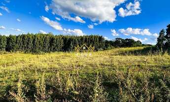 Imagem 5: Área de 16,6 hectares - Ideal para sítio