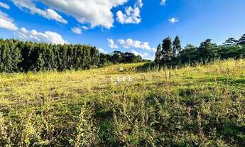 Imagem 6: Área de 16,6 hectares - Ideal para sítio