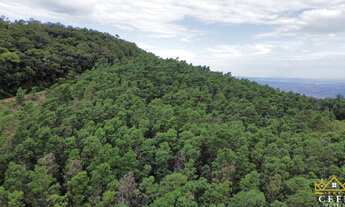 Imagem: Área de 3 hectares em Sapiranga/RS - Com