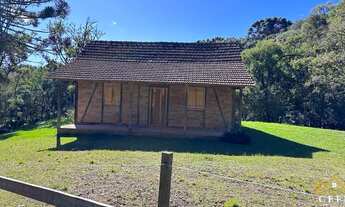 Imagem: Lindo Sítio na Serra Gaúcha - Nova Petrópolis/RS