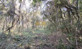 Imagem 6: BELÍSSIMO SÍTIO COM VISTA PARA O VALE EM NOVA PETRÓPOLIS-RS