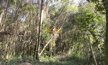 Imagem 7: BELÍSSIMO SÍTIO COM VISTA PARA O VALE EM NOVA PETRÓPOLIS-RS