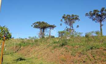 Imagem 2: ÓTIMO TERRENO EM IVOTI, NO BAIRRO PALMARES