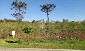 Imagem 3: ÓTIMO TERRENO EM IVOTI, NO BAIRRO PALMARES